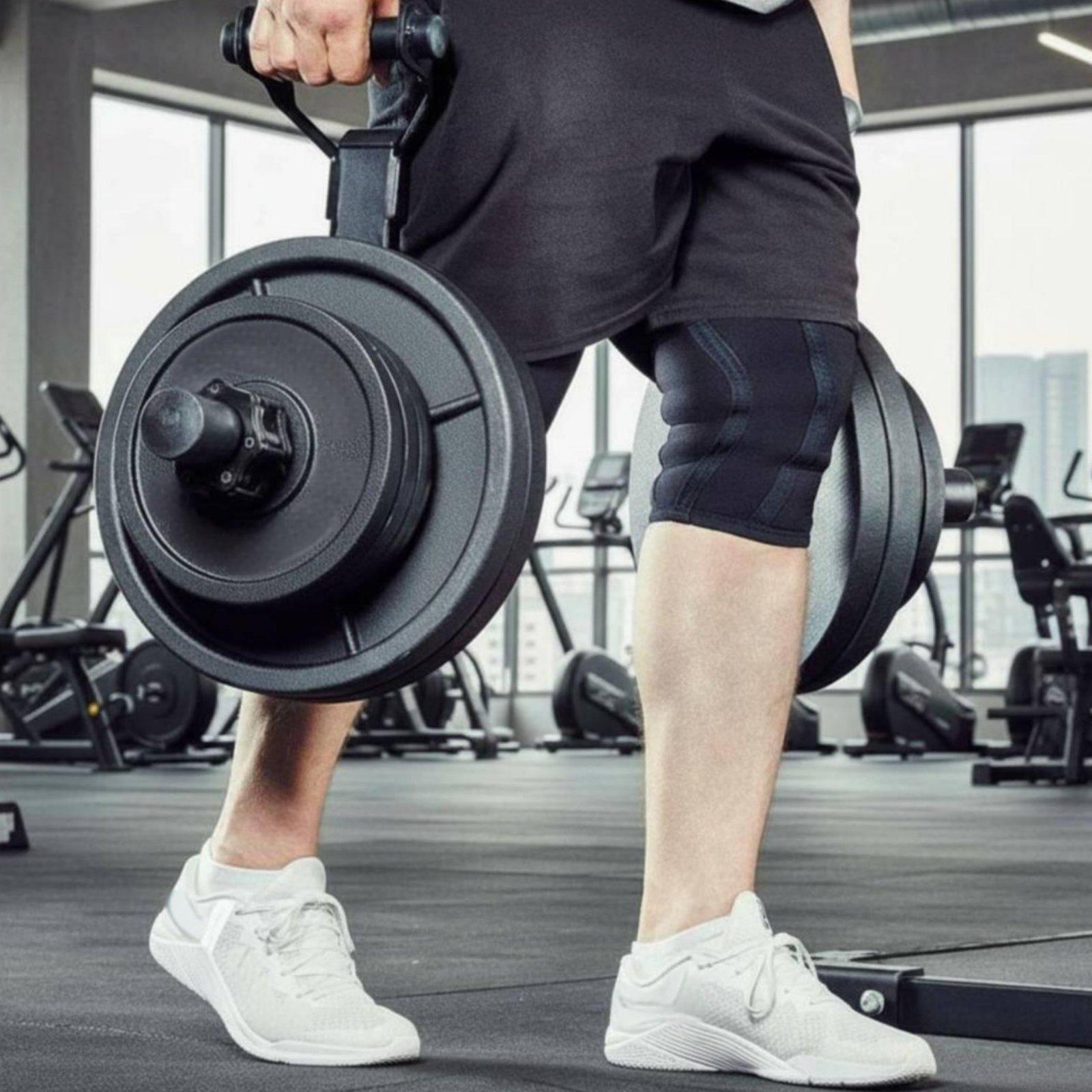 多サイズ対応バーベルプレートホルダーオーガナイザーラック、家 - Home Gym Equipments のレビューと価格