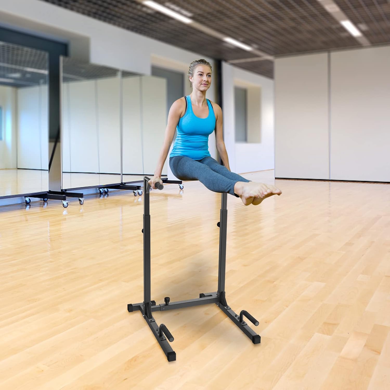 ホームジム用メタル製プッシュアップ/ディップスバー、体操・筋 - Home Gym Leg Press のレビューと価格