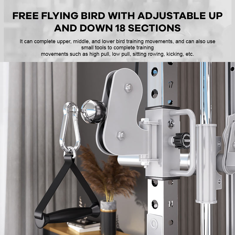YTYIN工場サプライヤー ホームジム機器 パワーケーブルク - Home Gym Leg Machine のレビューと価格