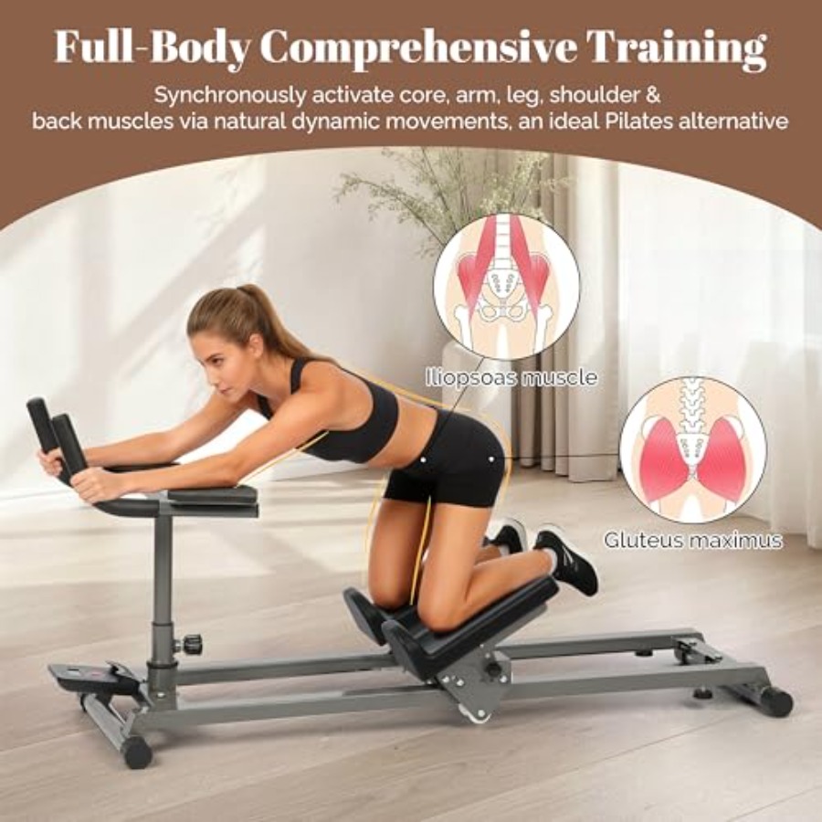 ホームジム機器：脊椎の回転とストレッチ機能付きエクササイズク - Home Gym Leg Machine のレビューと価格